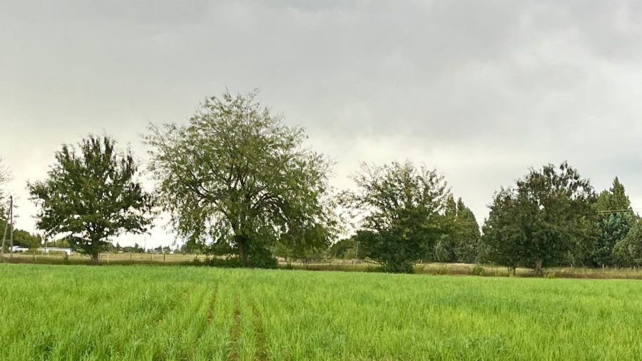 4 Bedroom Property for Sale in Bainsvlei Free State